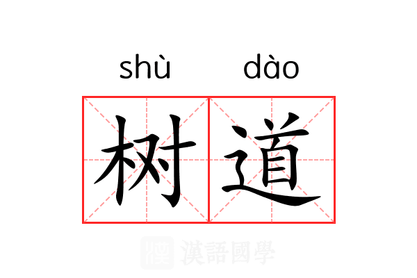 树道