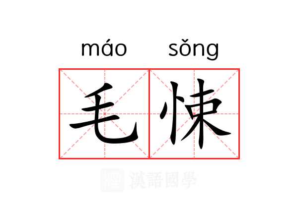 毛悚 毛悚