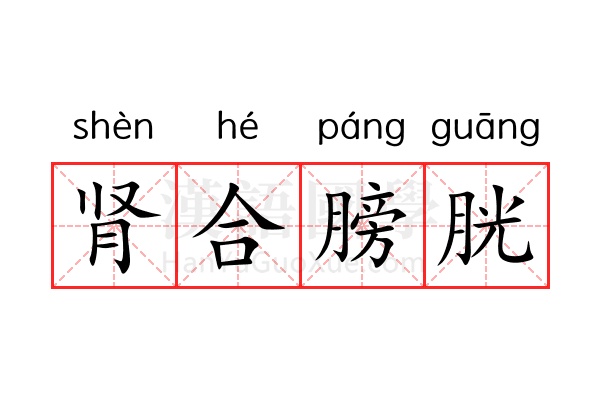 肾合膀胱 肾合膀胱