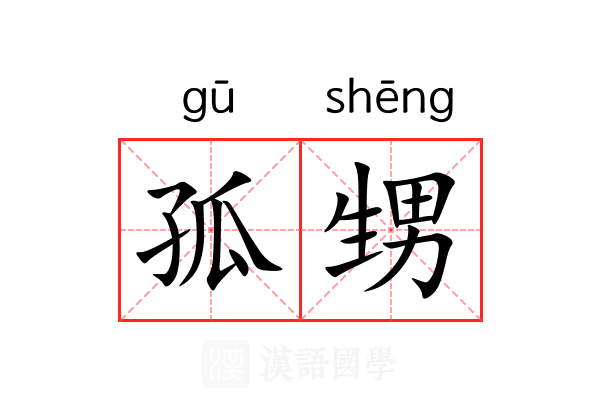 孤甥