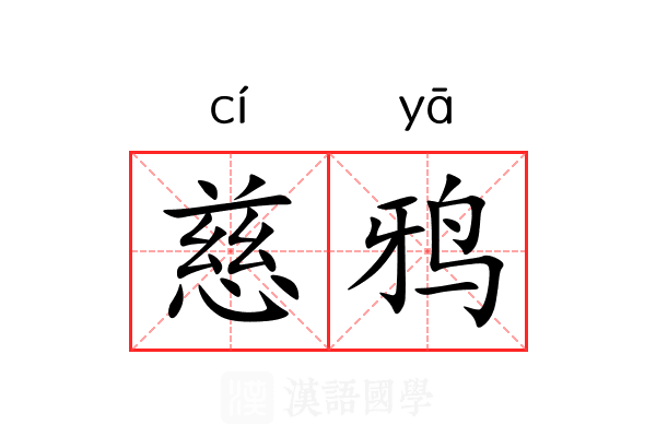 慈鸦