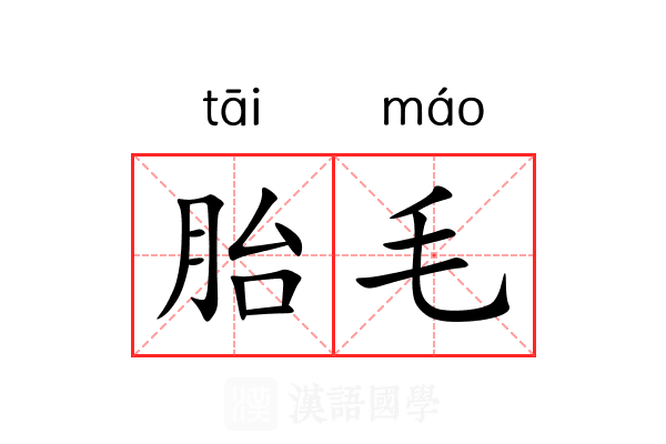 胎毛