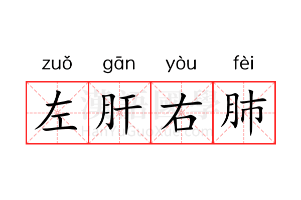 左肝右肺 左肝右肺