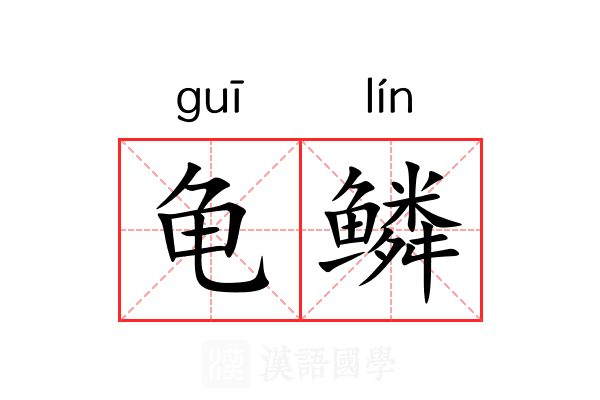 龟鳞 龟鳞