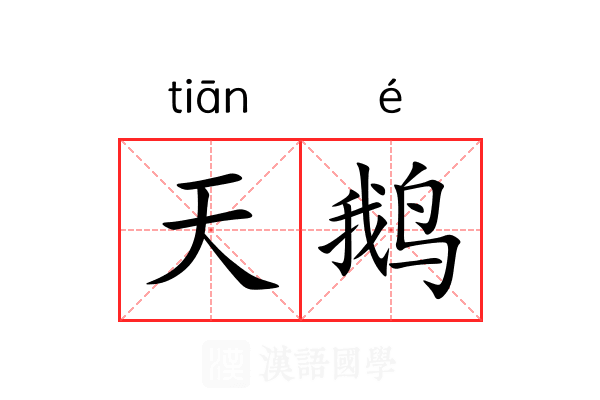 天鹅 天鹅