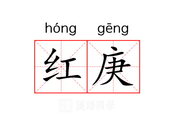 红庚 红庚