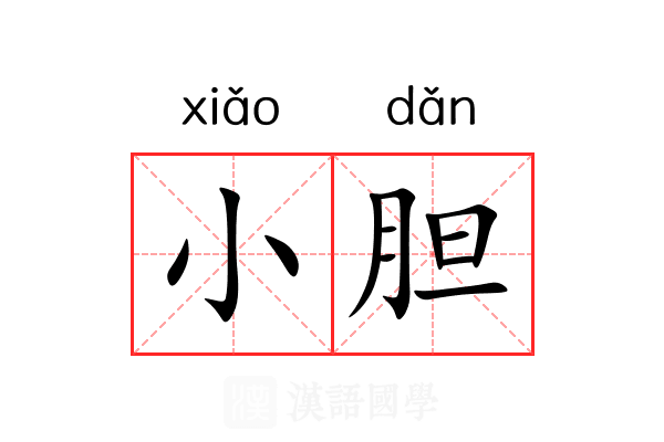 小胆 小胆