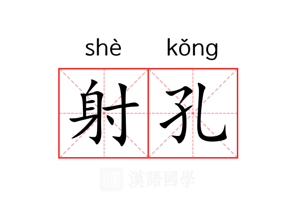 射孔 射孔