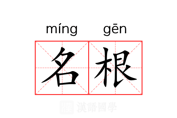 名根 名根