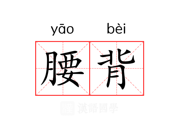 腰背 腰背