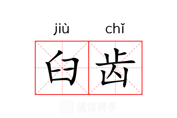 臼齿 臼齿