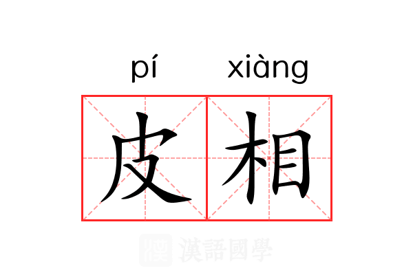 皮相 皮相
