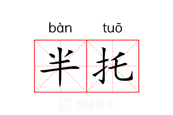 半托 半托