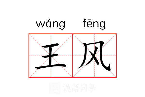 王风 王风