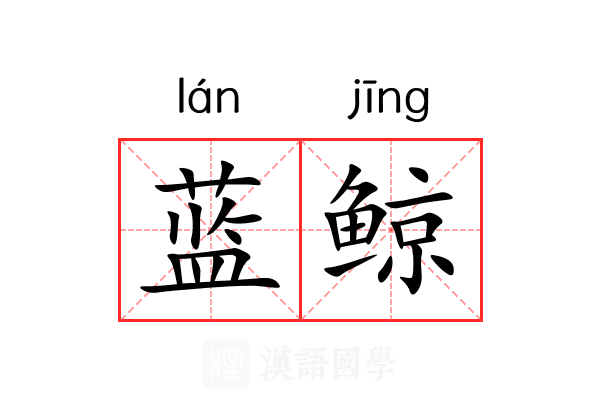蓝鲸