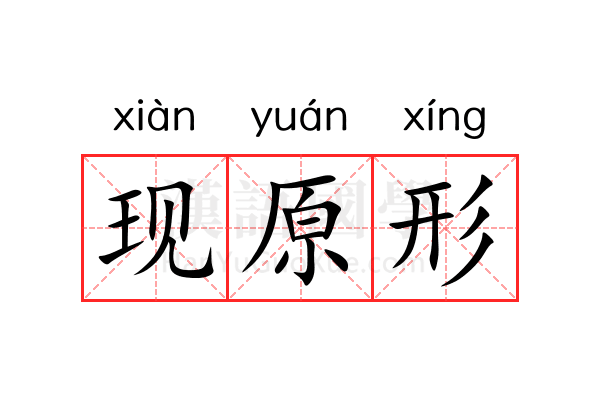 现原形
