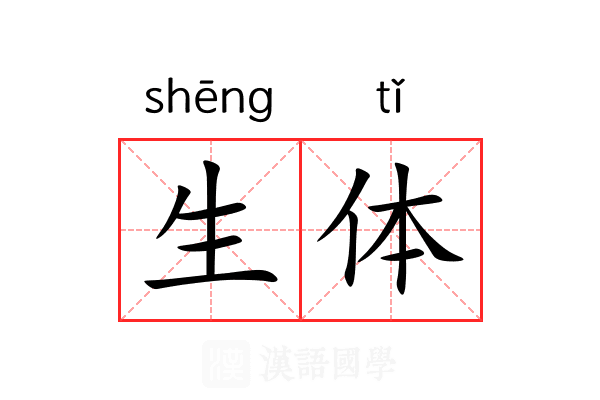 生体 生体