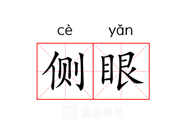 侧眼 侧眼