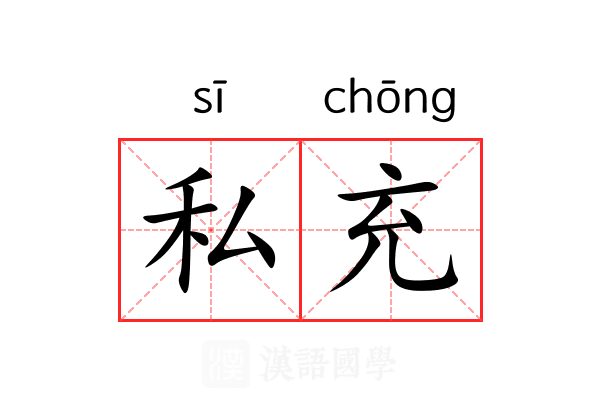 私充 私充