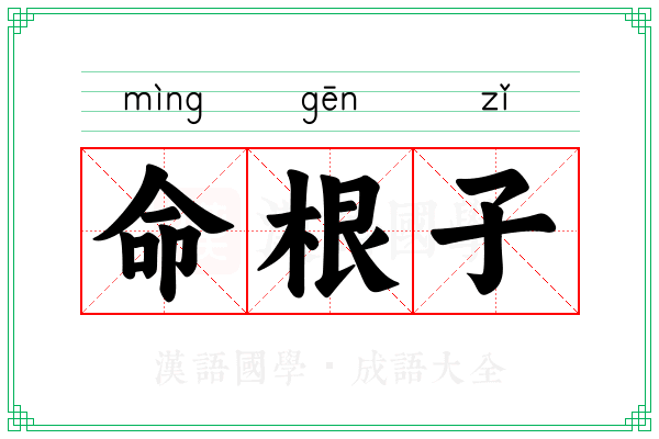 命根子 命根子