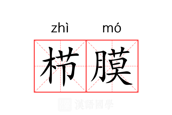 栉膜 栉膜