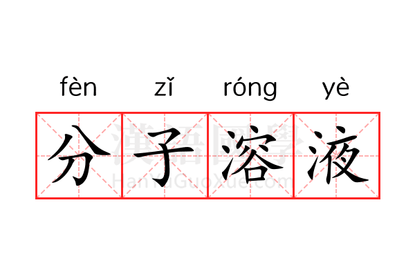 分子溶液 分子溶液