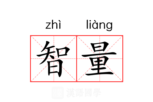 智量 智量
