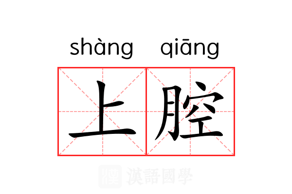 上腔 上腔