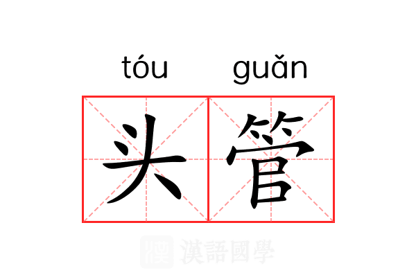 头管 头管