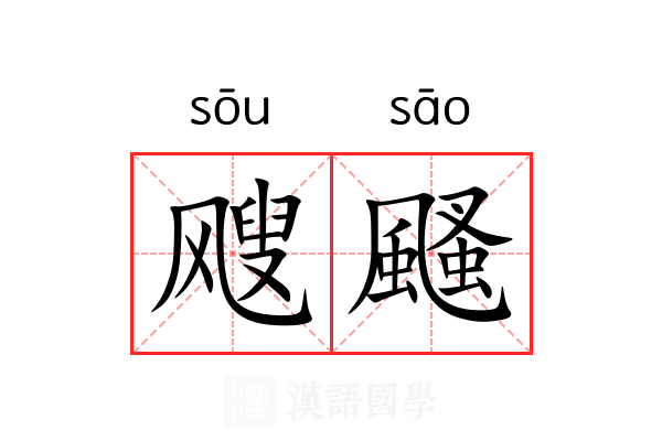 飕颾