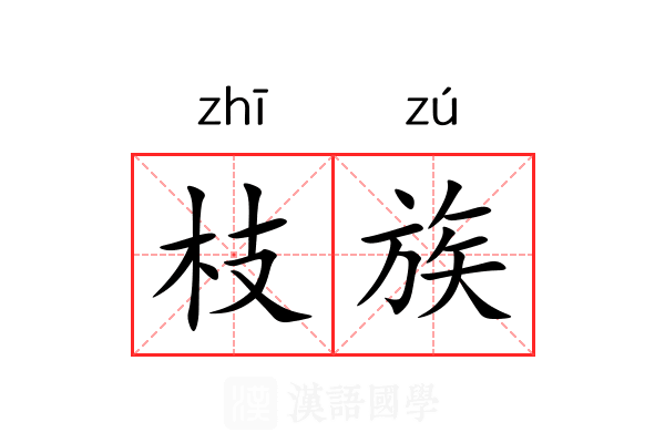 枝族 枝族