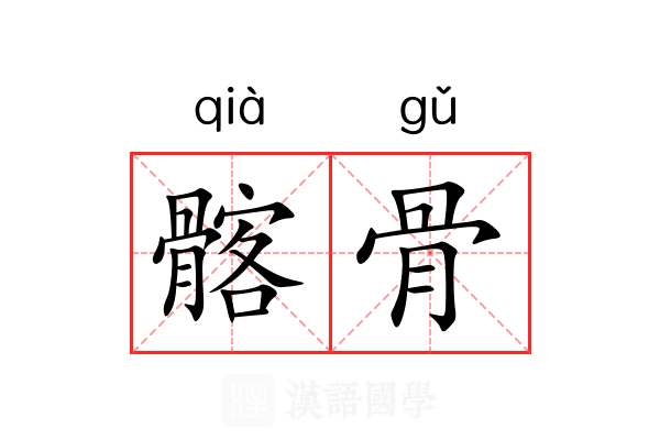 髂骨