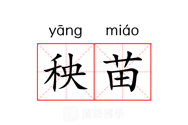 秧苗