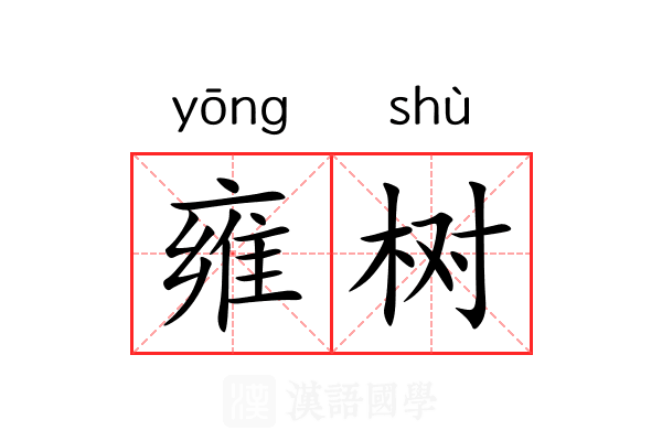 雍树 雍树