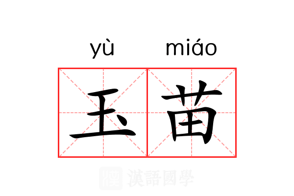 玉苗