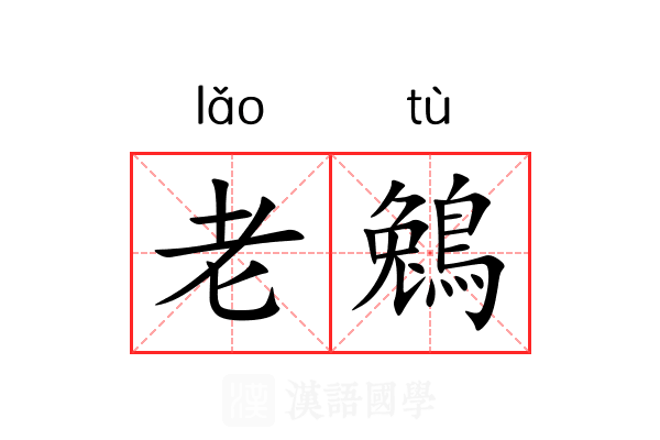 老鵵 老鵵