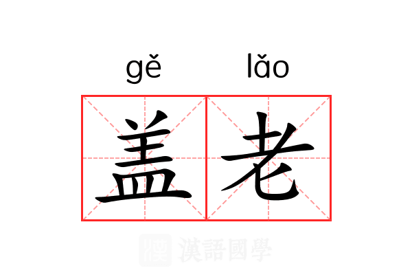 盖老 盖老