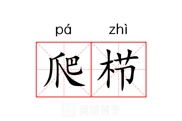 爬栉