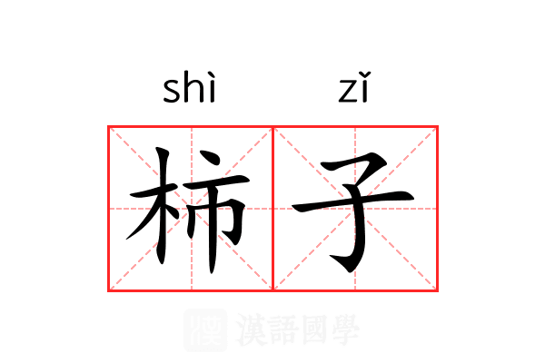 柿子 柿子