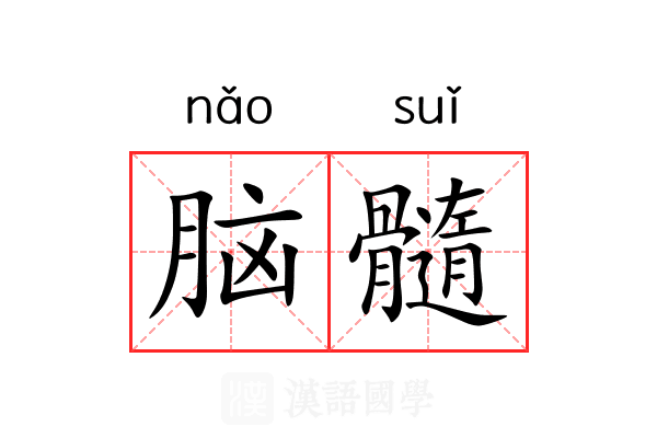 脑髓