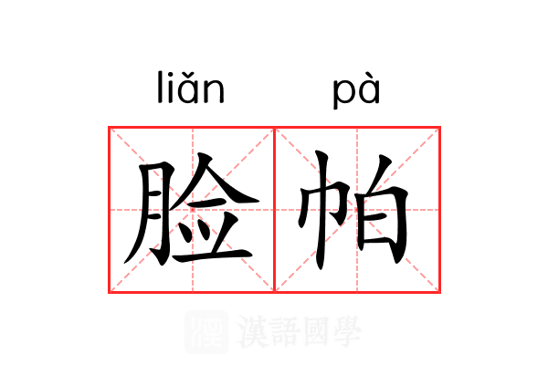 脸帕