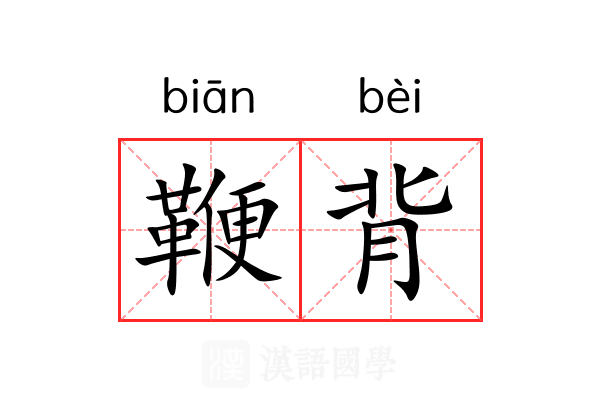 鞭背