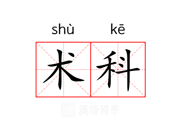 术科