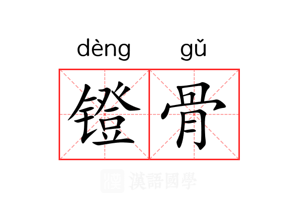 镫骨