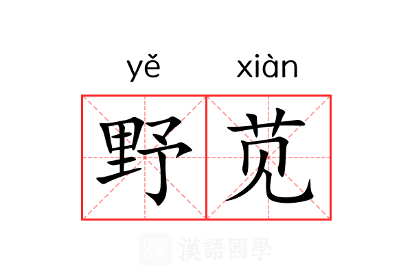 野苋 野苋