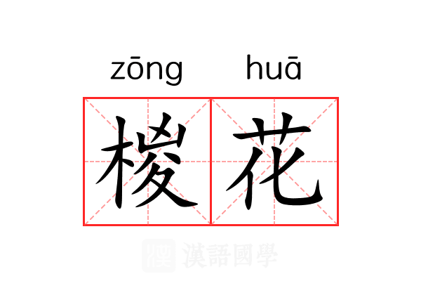 椶花 椶花
