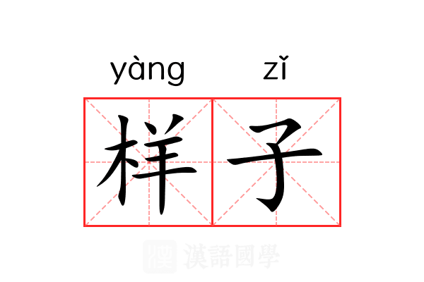 样子