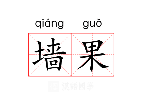 墙果 墙果