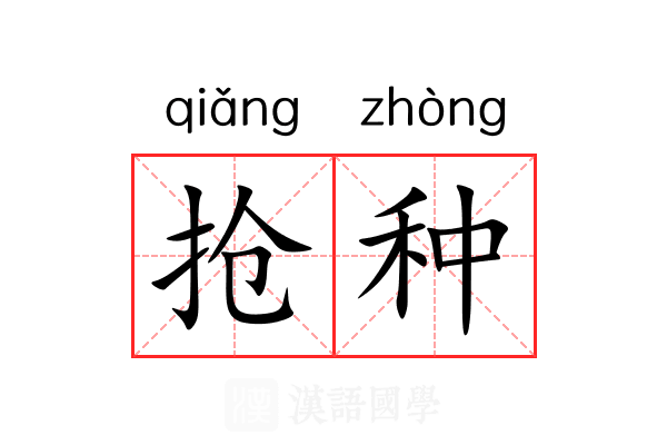 抢种