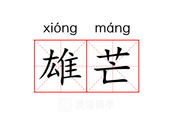 雄芒 雄芒